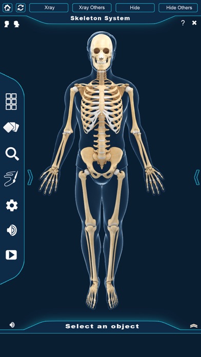 My Skeleton Anatomy screenshot 2