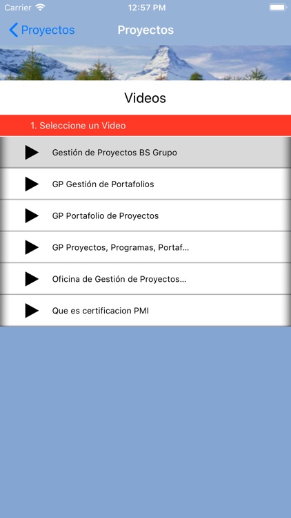 Simulador PMP Proyectos screenshot-5