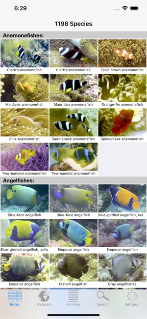 Reef Guide