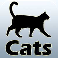 Cat breeds and guides