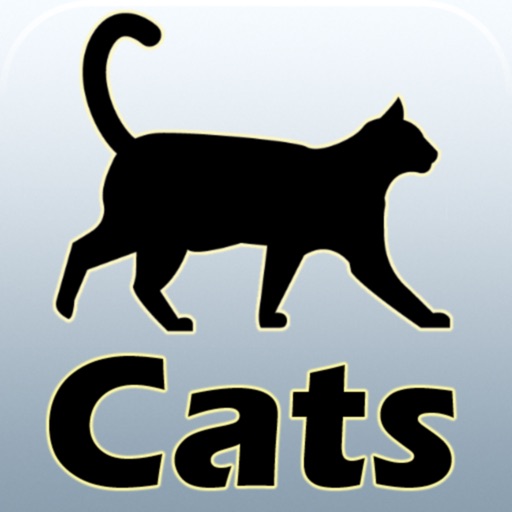 Cat breeds and guides