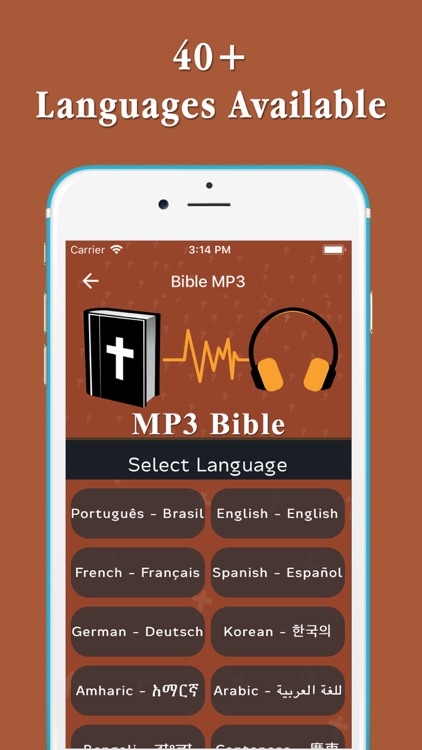 Audio Bible MP3 screenshot-3