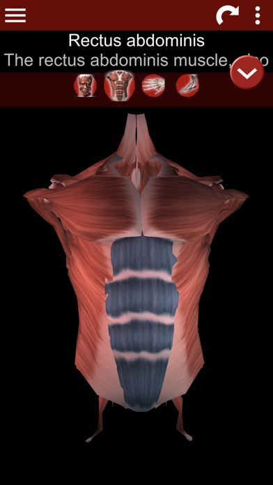 Muscular System 3D (anatomy) iPhone App