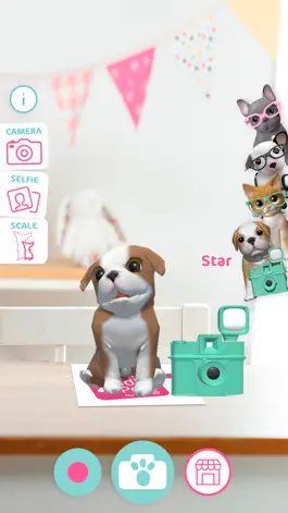 Game screenshot Studio Pets AR apk