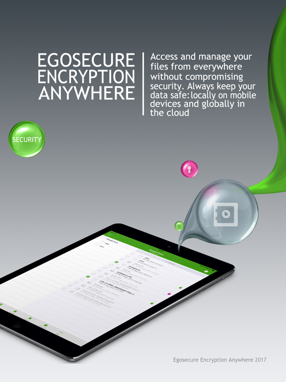 Screenshot #4 pour EgoSecure Encryption Anywhere