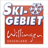 Skigebiet Willingen