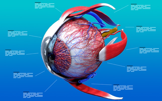 Eye Anatomy 3D(圖1)-速報App