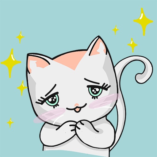 Chabby Cat