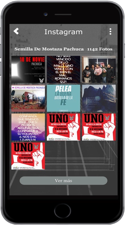 Semilla Pachuca screenshot-6