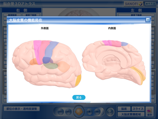 脳血管3Dアトラスのおすすめ画像3