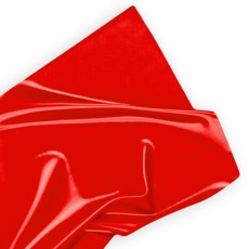 Activities of CRL Red Tape Challenge