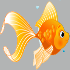 Activities of Little Fish with Math Trivia