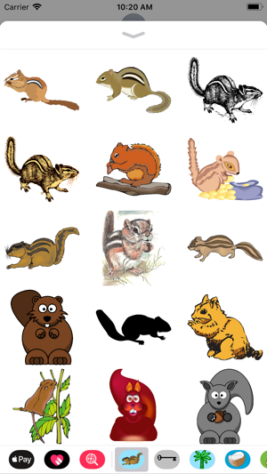 Chipmunk & Squirrel Stickers