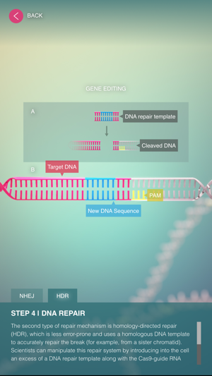 CRISPR-Cas9(圖4)-速報App