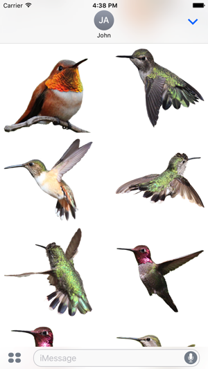 Hummingbirds - Large (Retina)(圖4)-速報App