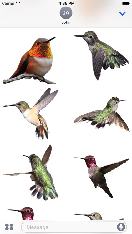 Hummingbirds - Large (Retina) screenshot-3