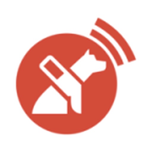 Mantención Lazarillo