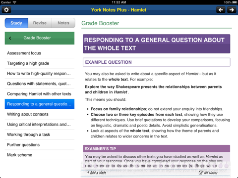 Hamlet York Notes AS A2 iPad screenshot 3
