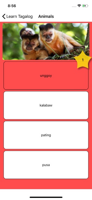 Learn Tagalog - Flashcards(圖4)-速報App