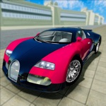 Motion Car Driving Simulator