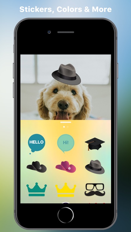 TweetXpress screenshot-3