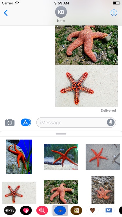 Starfish Sticker Pack screenshot-5