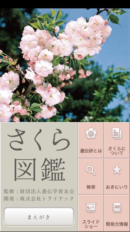 さくら図鑑