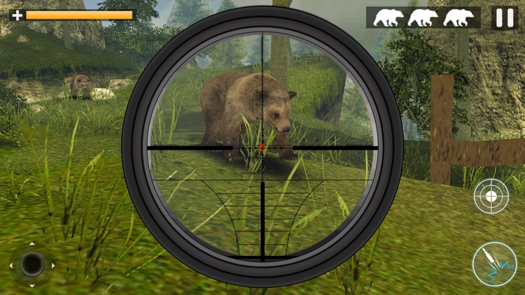 Bear Jungle Attack