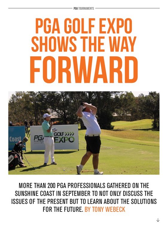 The Professional PGA screenshot-3