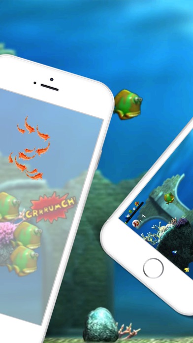 Bigger Fish - Crazy underwater screenshot 2
