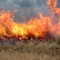 Wildland Toolkit is a calculator and reference guide for wildland firefighters