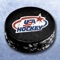 USA Hockey’s Mobile Coach is designed to give you valuable resources, both on- and off-ice, to assist with the long term development of your players