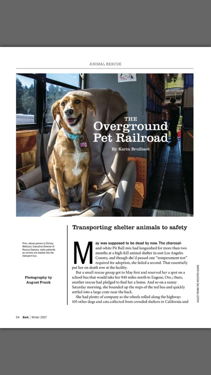 The Bark: dog culture magazine