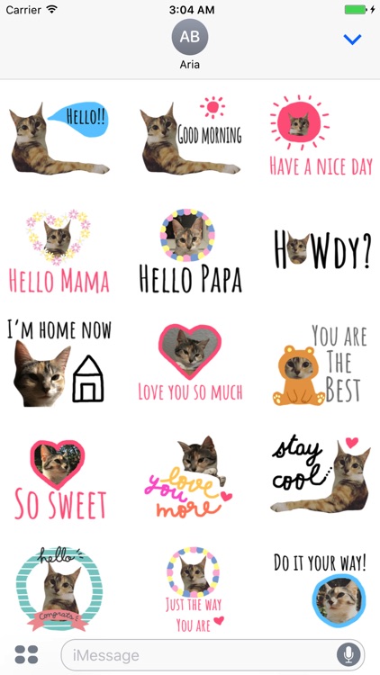 Chat With Cute Cat Sticker