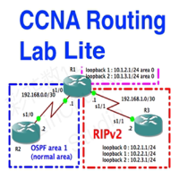 CCNA Routing Lite