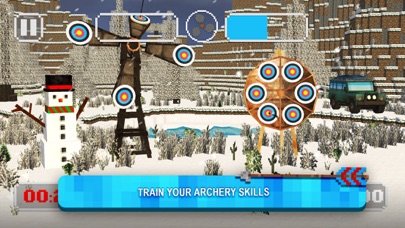 Bow Master Sport:Archery Games screenshot 2