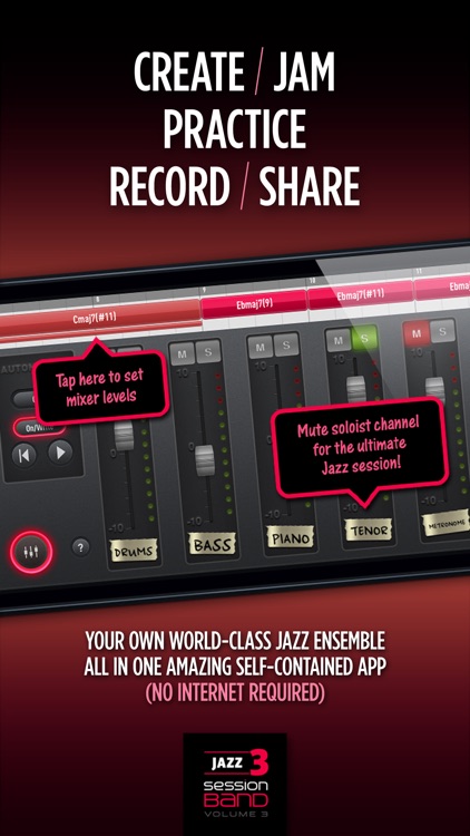 SessionBand Jazz - Volume 3 screenshot-4