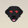 Black Lab Stickers