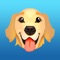 The cutest Golden Retrievers and Ultimate Emoji Texting App