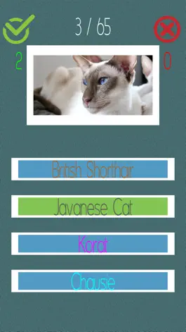 Game screenshot Cat Quiz (60+ Breeds) apk