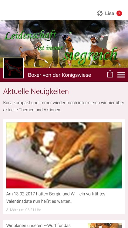 Boxer von der Königswiese