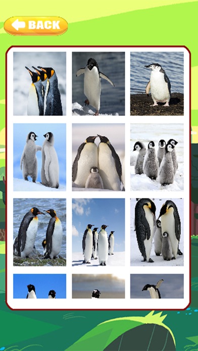Penguin Animal Jigsaw Puzzle screenshot 2