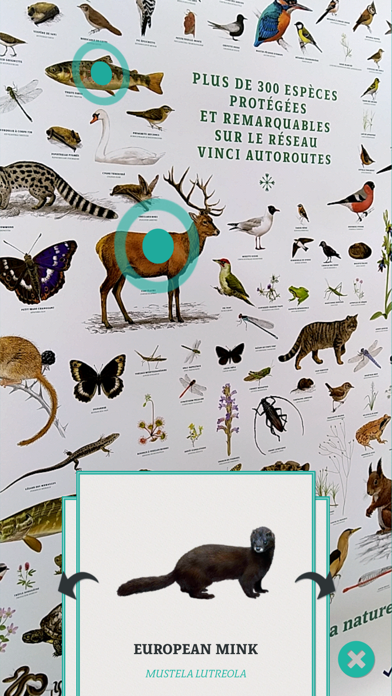 ANIMALIA by VINCI Autoroutes screenshot 2