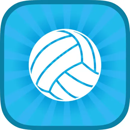 Volleyball Referee: Читы