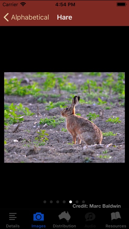 Field Guide to Pest Animals screenshot-3