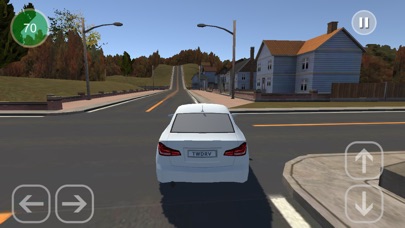 Town Driving screenshot 3