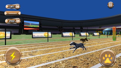 Greyhound Racing Tournament 2 screenshot 4