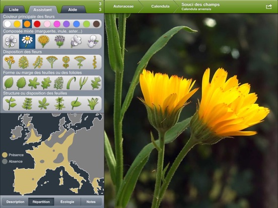 Screenshot #6 pour Fleurs en poche HD
