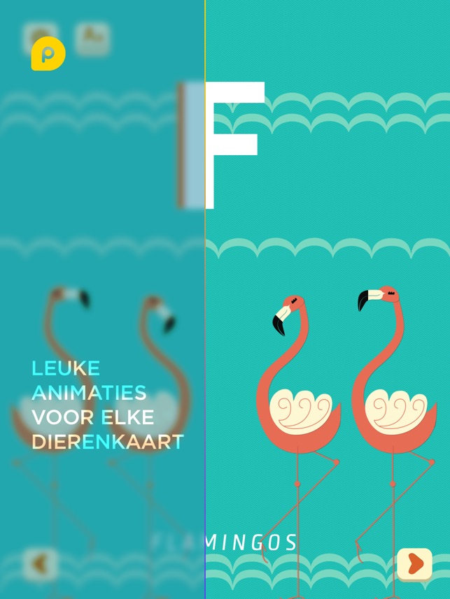 Mini-U: ZOO Alfabet in het Nederlands(圖3)-速報App