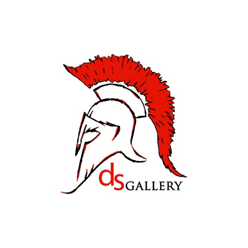 dsgallery.ch icon